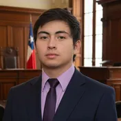 Retrato de Diego Figueroa Rivera